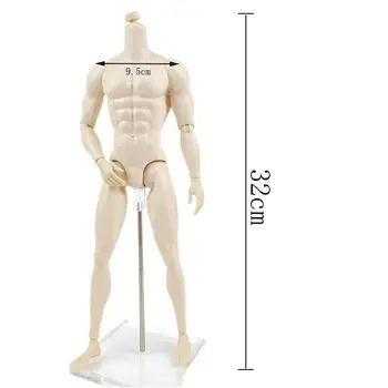 Белое Подвижное Кукольное Тело 1/6 Сустава Подходит для 12-Дюймовых Частей Куклы Muscle Boy и Аксессуаров